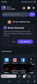 Parrot (4).webp
