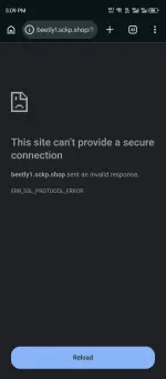 1000032729.webp