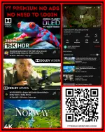 54802.webp 54802.webp