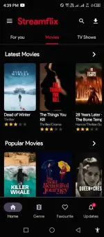 Streamflix (2).webp
