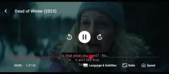Streamflix (1).webp