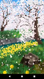 tbnpha.webp