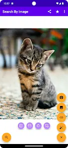 zn123o.webp zn123o.webp