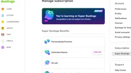 duolingo.webp