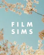 AV Film Sims (3).webp