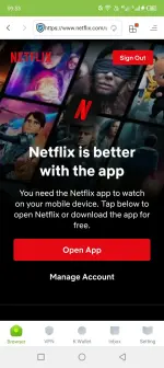 netflix.webp