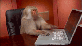 1FA.gif