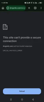 1000039055.webp 1000039055.webp