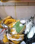 FB_IMG_1775745644696.webp