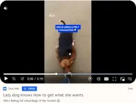 1776056755660.webp