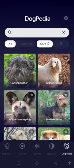 DogTok (1).webp