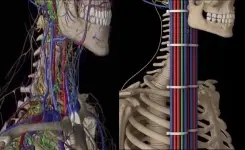 Proper Cable Management.webp