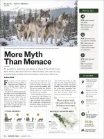 images-2-wolf-magazine.webp images-2-wolf-magazine.webp
