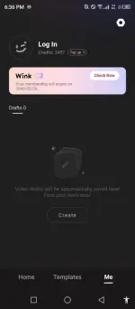 Wink (2).webp