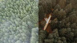 Forest & Foliage Preset_ChrisHenry (1).webp Forest & Foliage Preset_ChrisHenry (1).webp