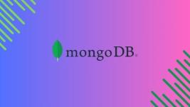 MongoDB - The Complete MongoDB Developers Course