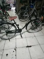 newbike3.webp newbike3.webp