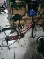 newbike5.webp newbike5.webp