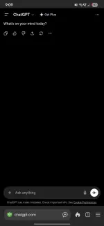 1000030752.webp
