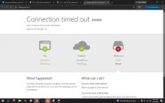 11.webp