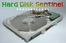 1778623499085.webp