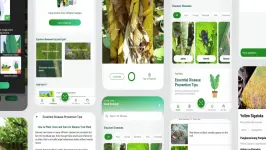 musa-app-java-leiikun.webp