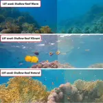 BASIC LUT PACK FOR GOPRO.webp BASIC LUT PACK FOR GOPRO.webp