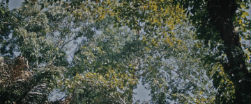 05.png