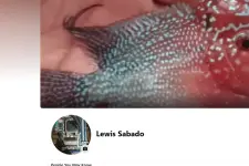 1779030268564.webp 1779030268564.webp