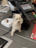 200.gif