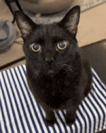 1780061688552.gif 1780061688552.gif