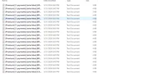Netlix Premium Plam.webp