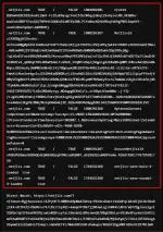 1780279327640.webp