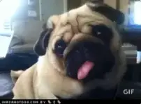 1780292508705.webp