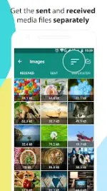 image.webp image.webp