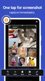 image.webp image.webp