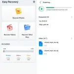 Easy Recovery.webp