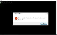1780331189717.webp