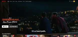 SS Netflix.webp