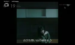1000025994.webp
