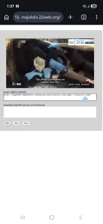 Screenshot_20260606_133709_Chrome.webp Screenshot_20260606_133709_Chrome.webp