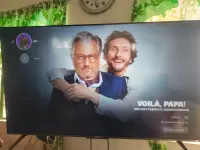 178079950216512475969453799747.webp