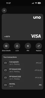 visa details.webp