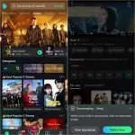 Moviebox.webp