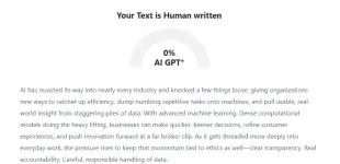 1781094502061.webp 1781094502061.webp