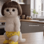 200.gif