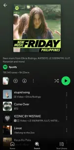 Screenshot_20260613_002853_Spotify.webp