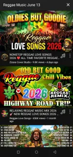 Screenshot_20260613-173630.webp