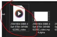1781680502266.webp