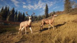 thehunter-call-of-the-wild-pc-screenshot-2.jpg